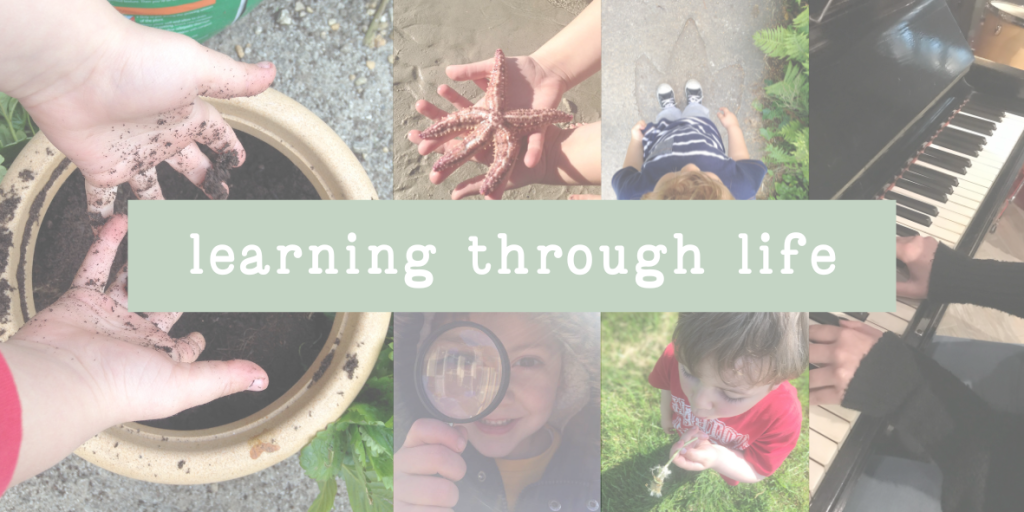 learning through life blog