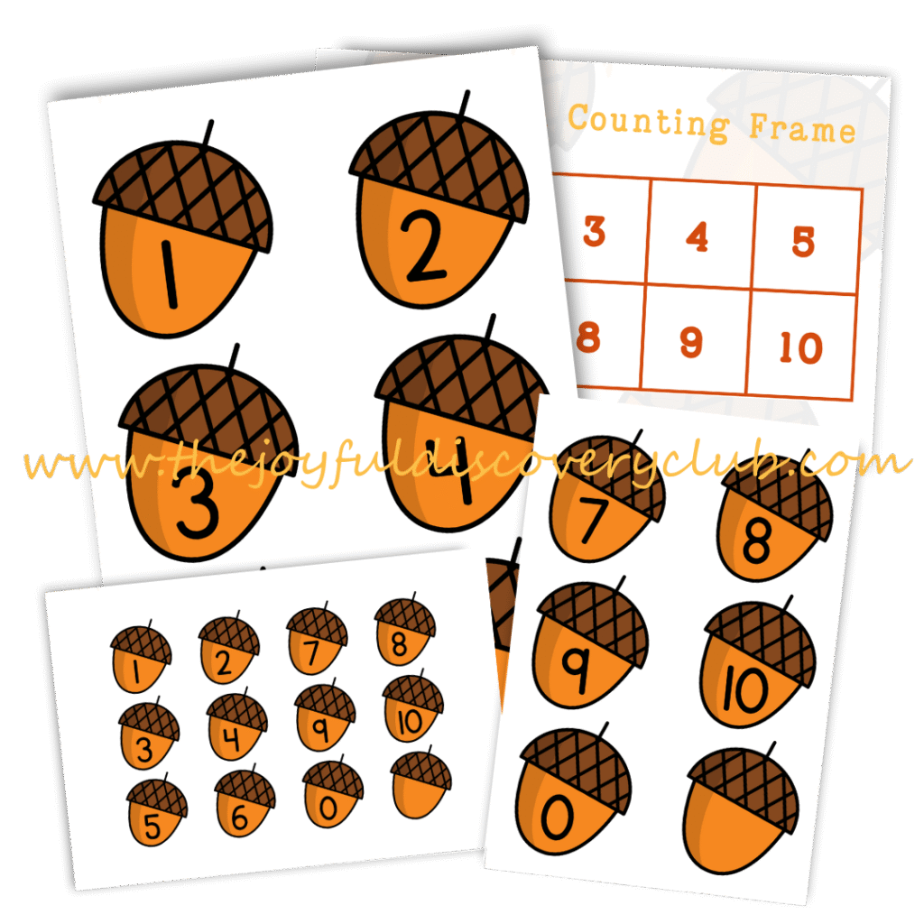 Acorn 10 Frame with Acorns 1-10