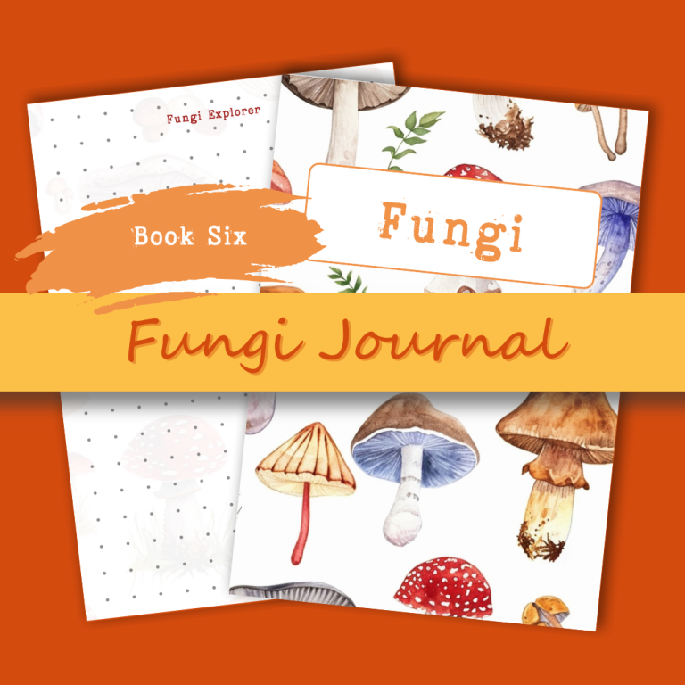 Fungi Journal Book 6
