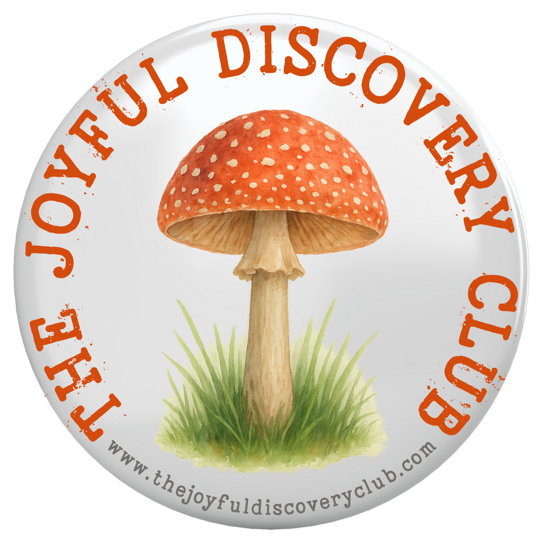 The Joyful Discovery Logo