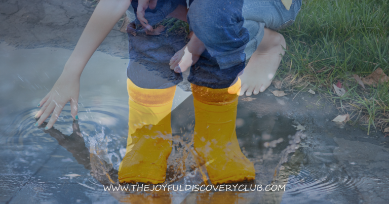 The Science That Hides in a Puddle